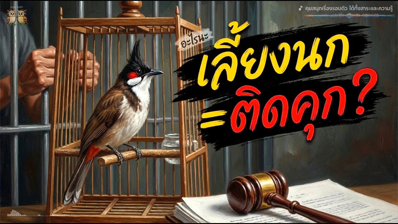 เลี้ยงนกกรงหัวจุกผิดวิธี ติดคุก 5 ปี! เช็กด่วน 