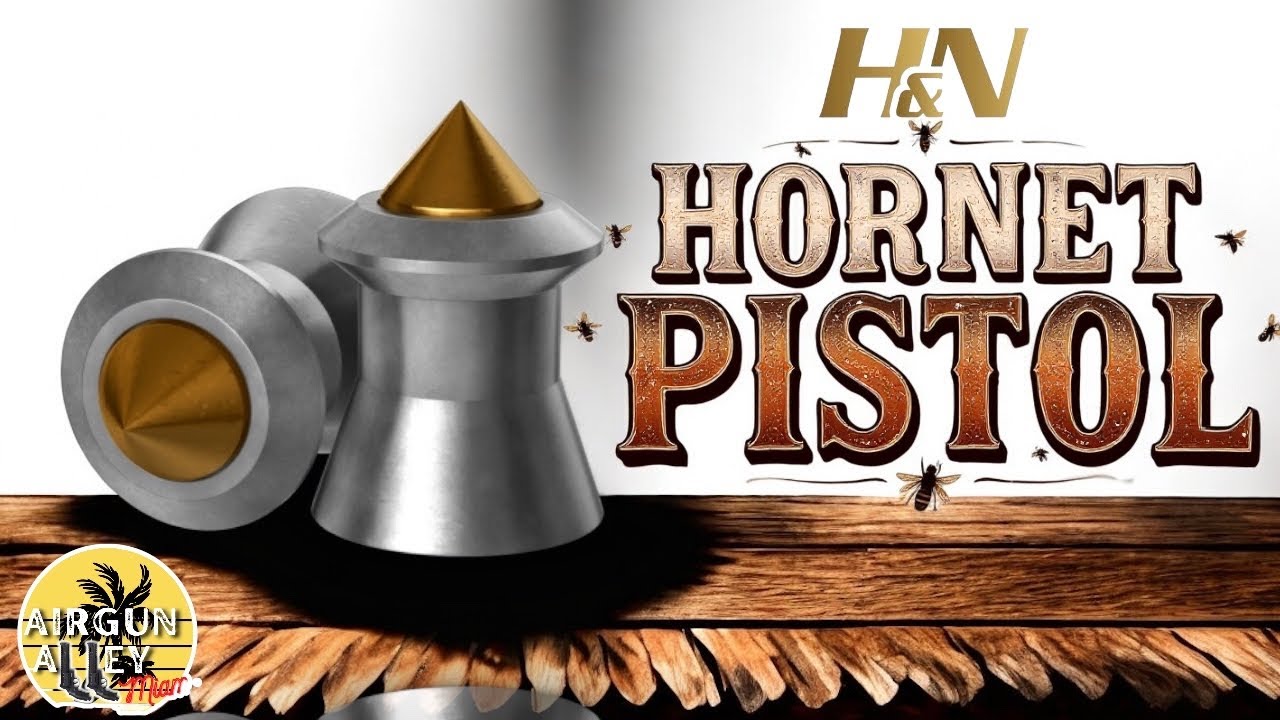 NEW Hornet PISTOL | Crosman 1077 vs VIGILANTE
