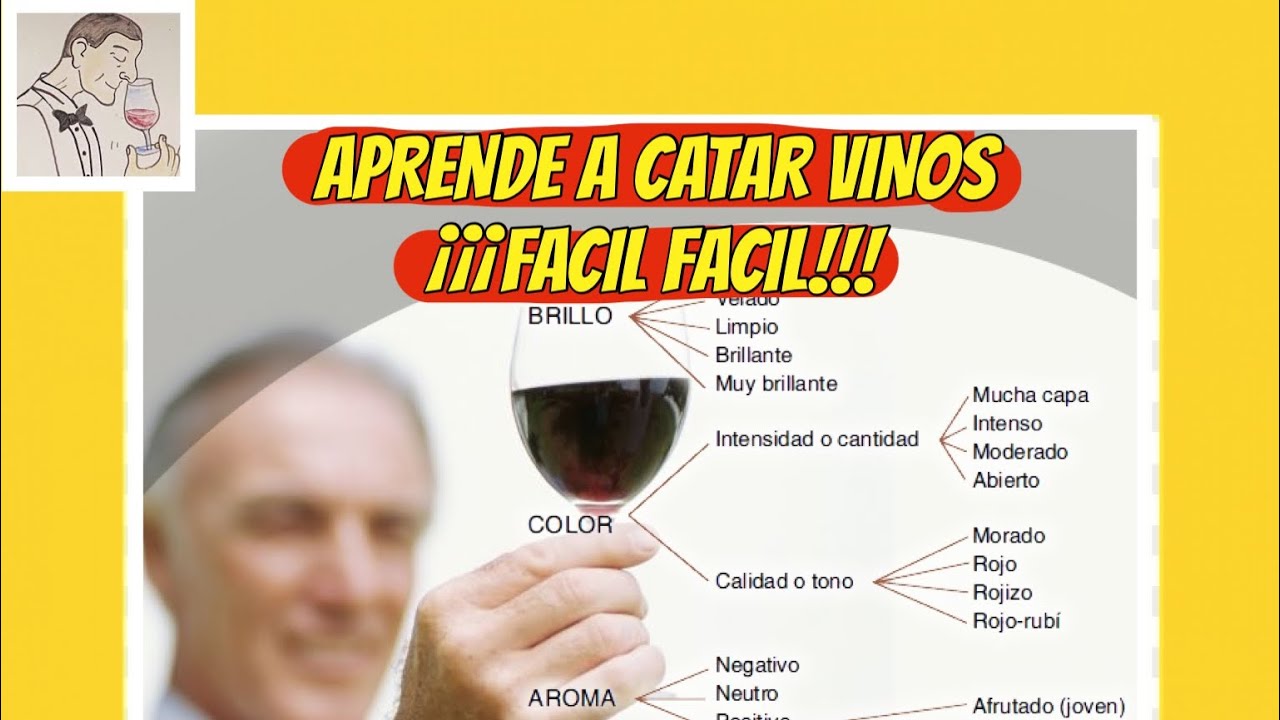 (17) APRENDE A CATAR VINOS. ¡¡¡FACIL FACIL!!!