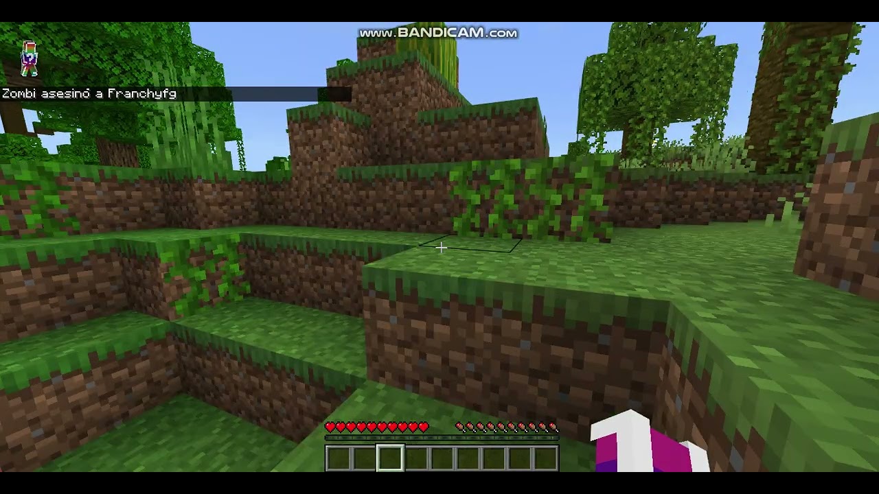 Jugando minecraft bedrock