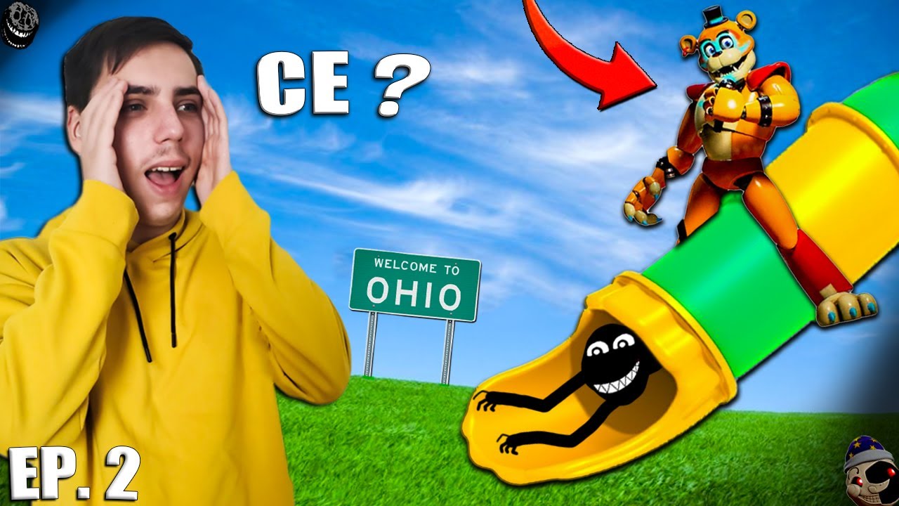 NU te da pe ACEST TOBOGAN sau..