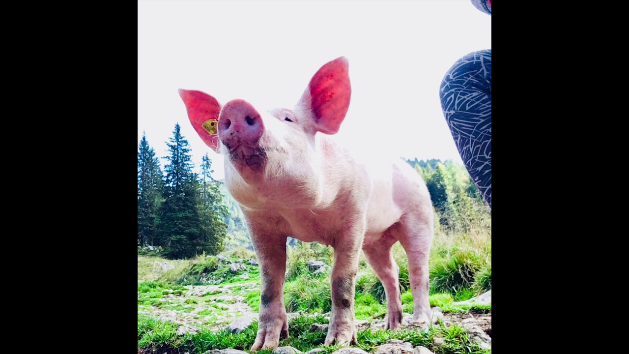 The beauty of the Slovenian nature