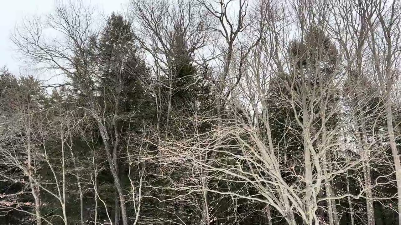Some MA Snow To Start March (2026-03-01)