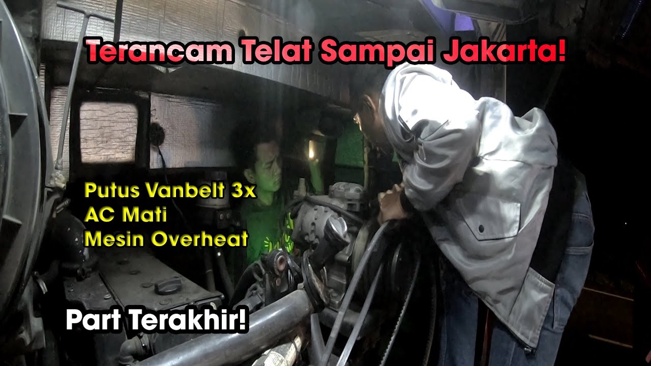 Pak Berro HR 65 Paradise Kejar HR 023 Sensation & STJ Bavikha | Famgath Haryanto Mania 2021 Part 3