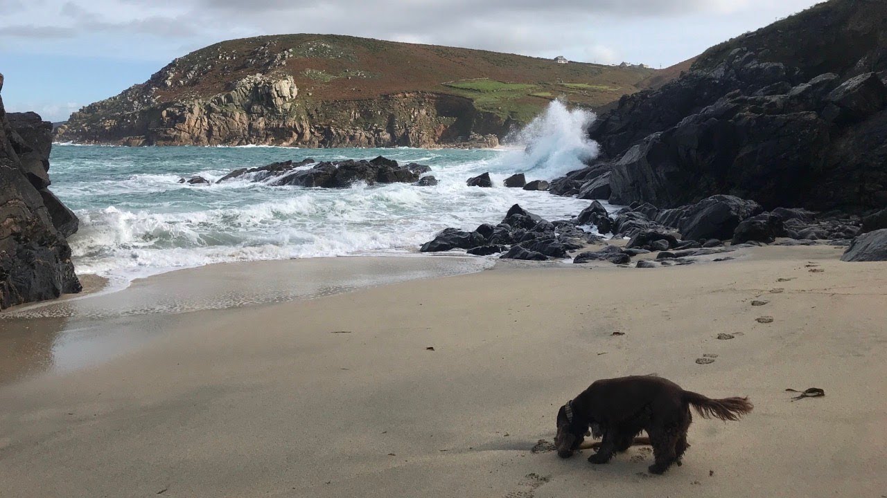 Beautiful coves, tall tales and followed by cows! Walking Pendeen Lighthouse to Morvah, Cornwall