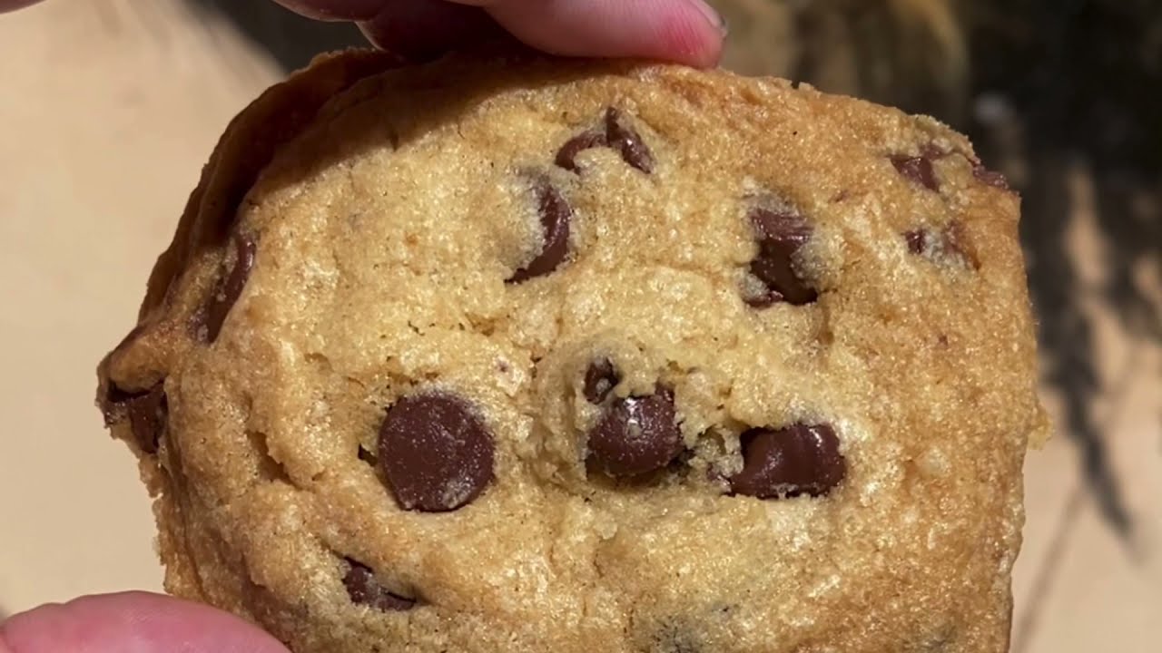 Chocolate Chip Cookies! 🍪  | Sun Oven ☀️