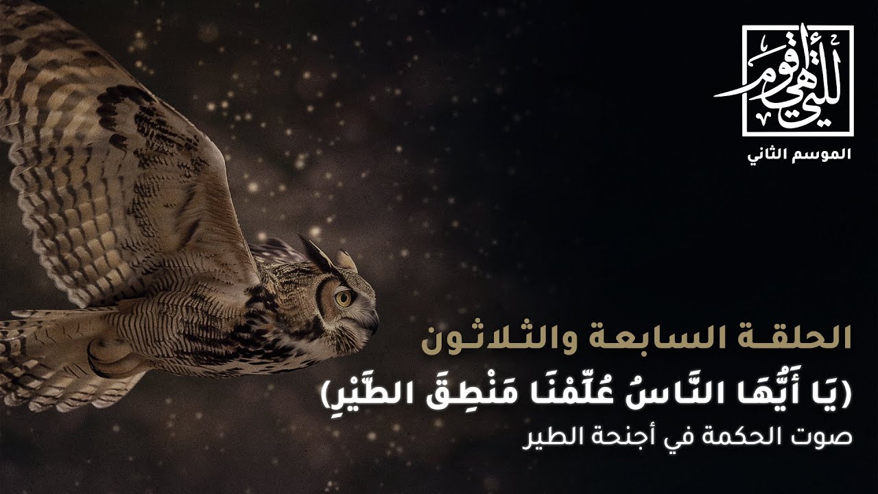 (يا أيها الناس عُلّمنا منطق الطير) |  صوت الحكمة في أجنحة الطير - الحلقة السابعة والثلاثون