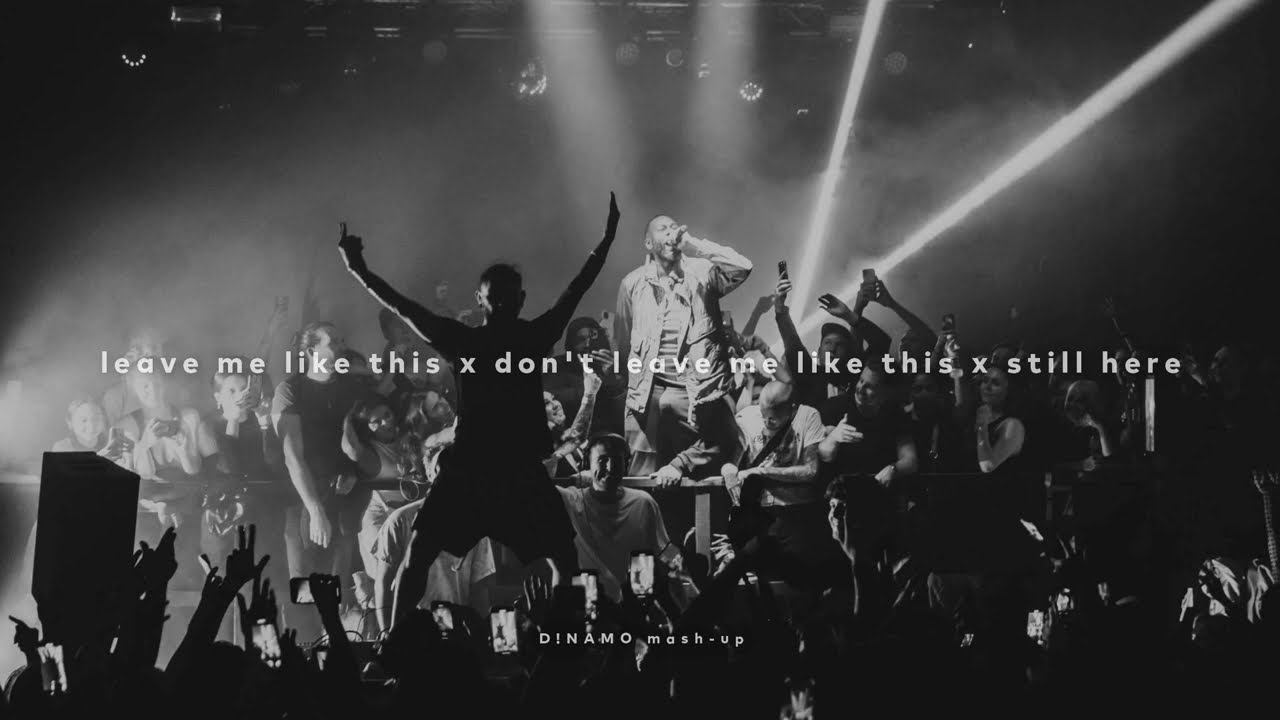 Leave Me Like This X Don't Leave Me Like This X Still Here (D!NAMO Mash-Up)