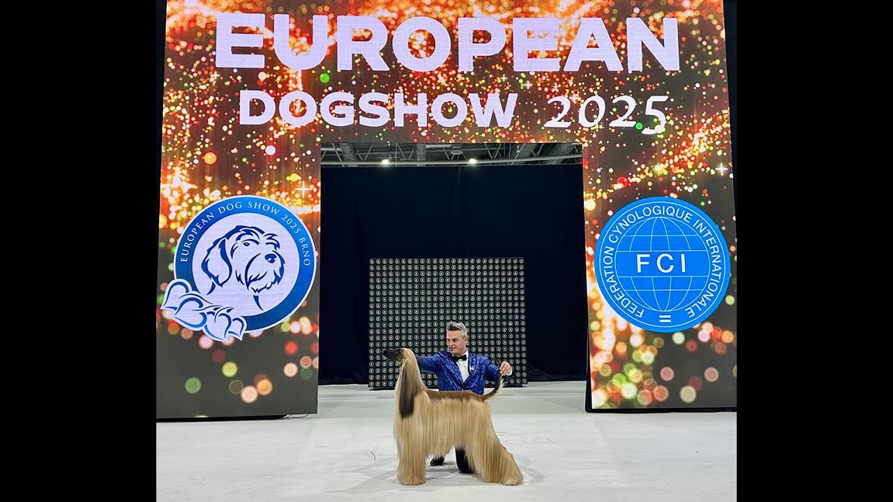 European Dog Show 2025 Czech Best in Show