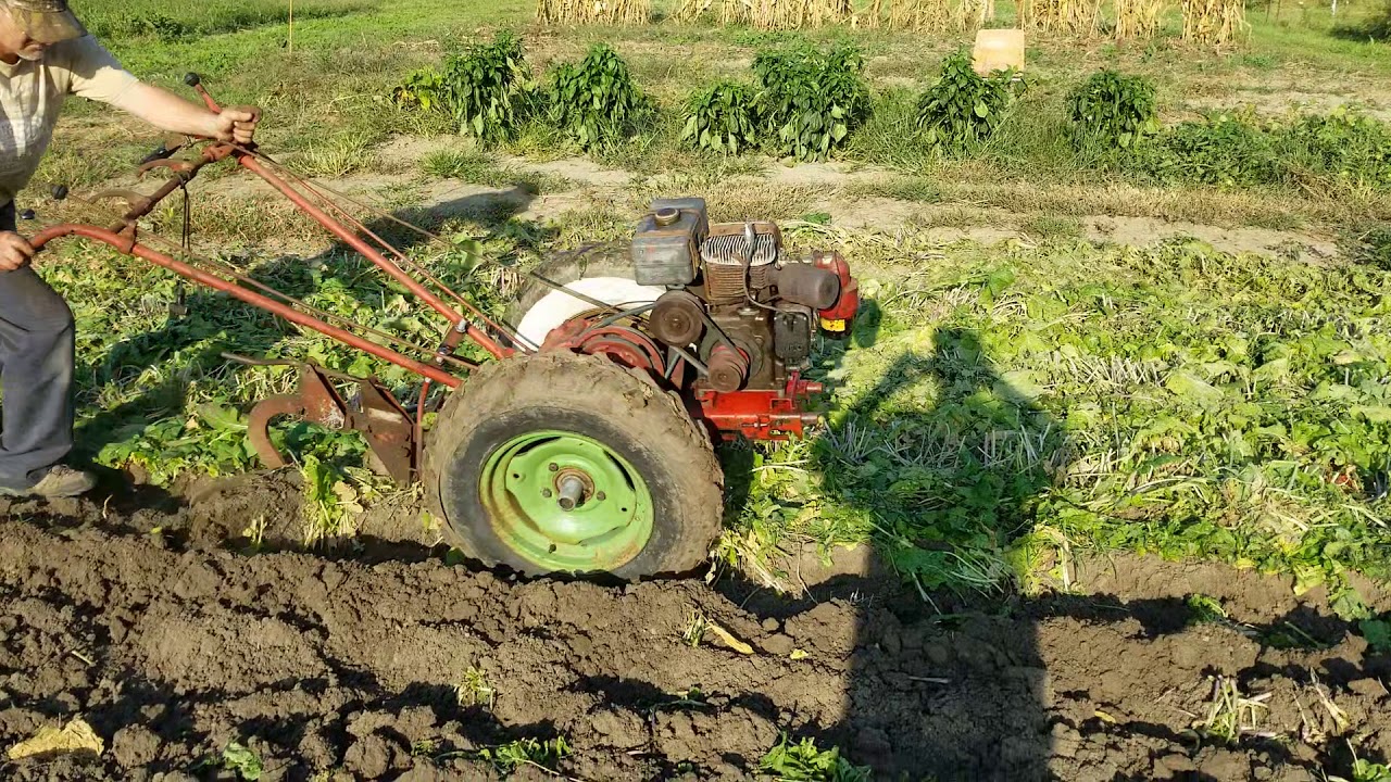 David Bradley Super 5.6 Plowing