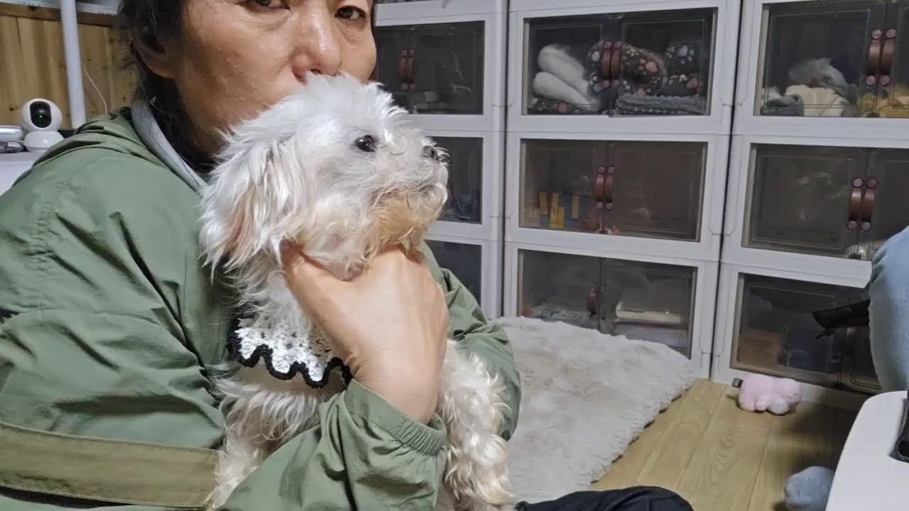 힘들고 ..지친다 #악의적민원#살생부#폐쇄명령#행정처분#죄값받아라