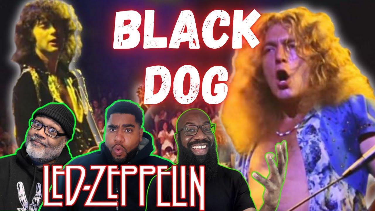 Led Zeppelin — Реакция на «Black Dog»! Пейдж и Плант! Бонэм и Джонс! Волшебники на Musicianship!