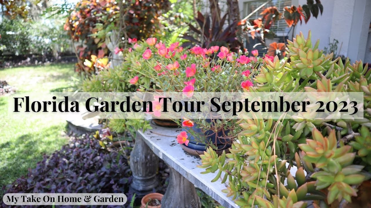 Our Fall Florida Garden Tour Last Look for 2023