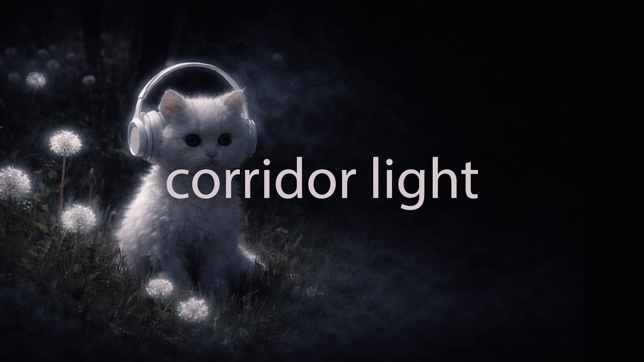 night dark electronic — corridor light | nofadeatnight