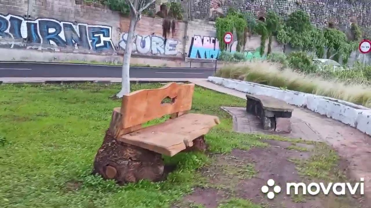 North Tenerife Unfiltered 🚗 December 2025   Север Тенерифе без фильтров 🚗 Декабрь 2025