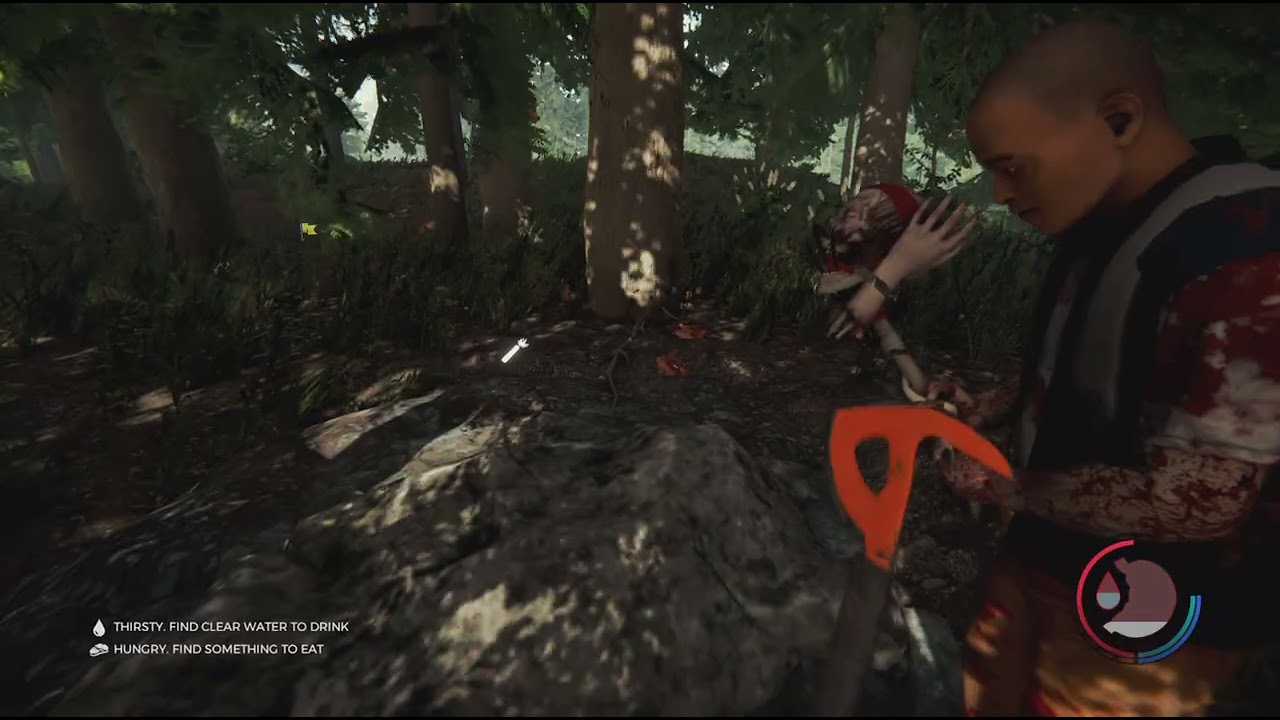 The Forest 3