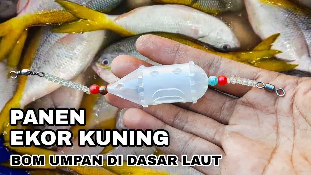 Cara membuat rangkaian bom umpan di dasar laut (pabobo) mancing ikan ekor kuning