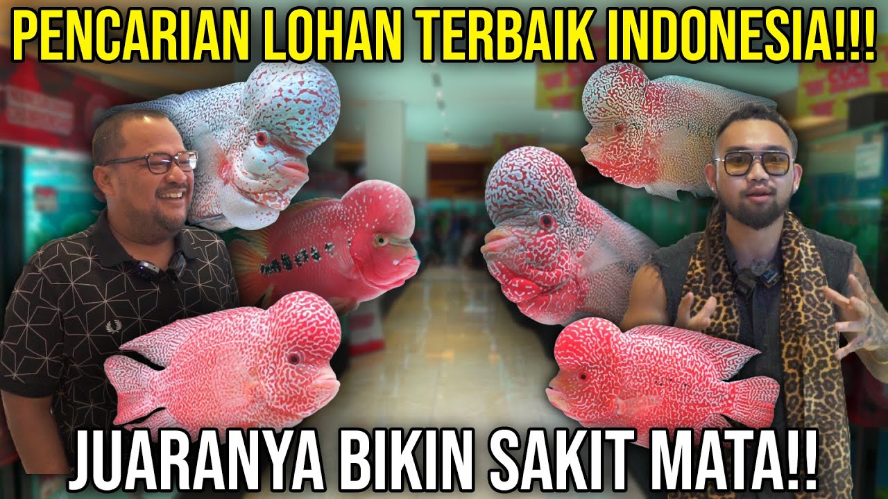 PENCARIAN LOHAN TERBAIK INDONESIA!!! JUARANYA BIKIN SAKIT MATA!!! #AudreyA #KINGOFTHEJUNGLE