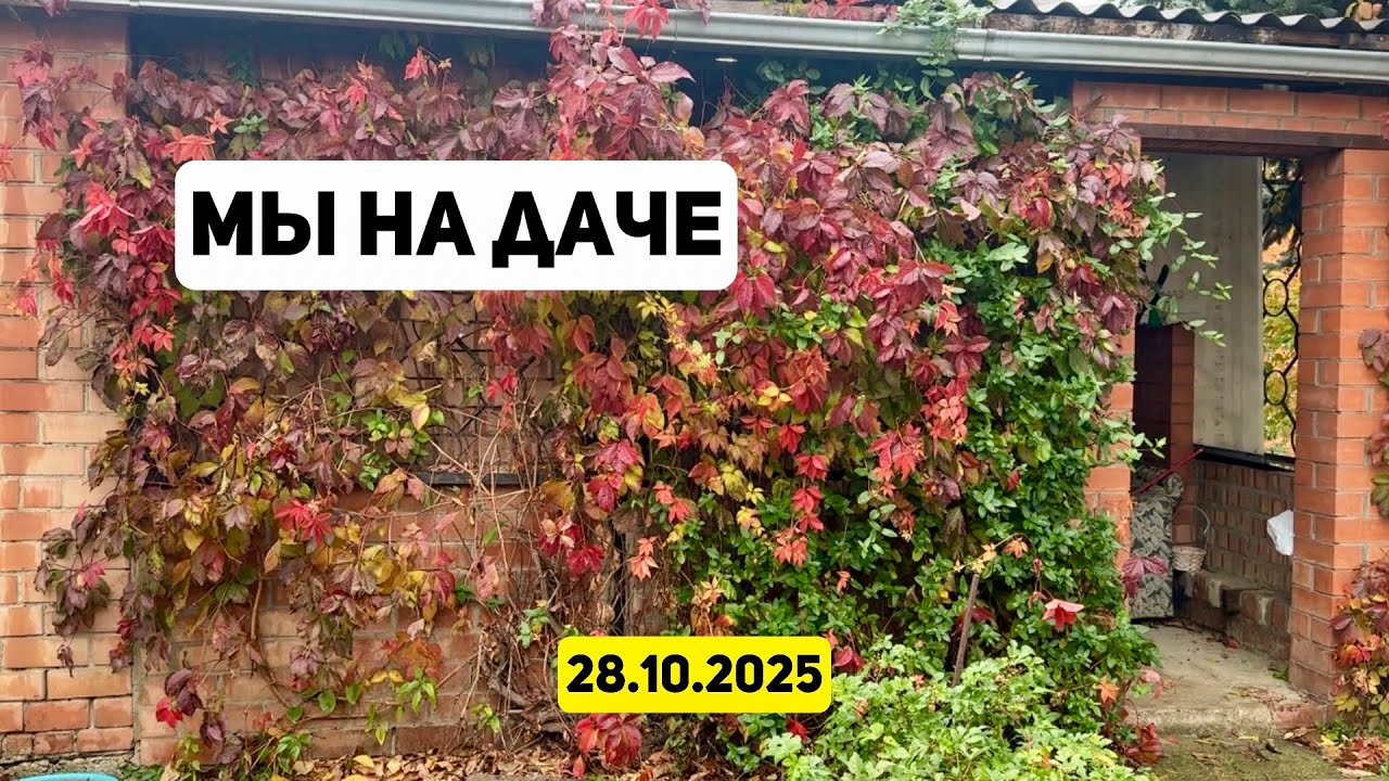 Мы на даче