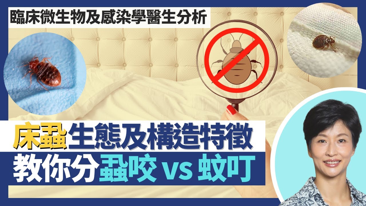 床蝨｜醫生教你分辨 床蝨咬痕vs蚊叮蟲咬！防治殲滅蝨患方法大全！床蝨襲港 解構生態及構造特徵！｜臨床微生物及感染學專科 王建芳醫生｜人類健康研究所