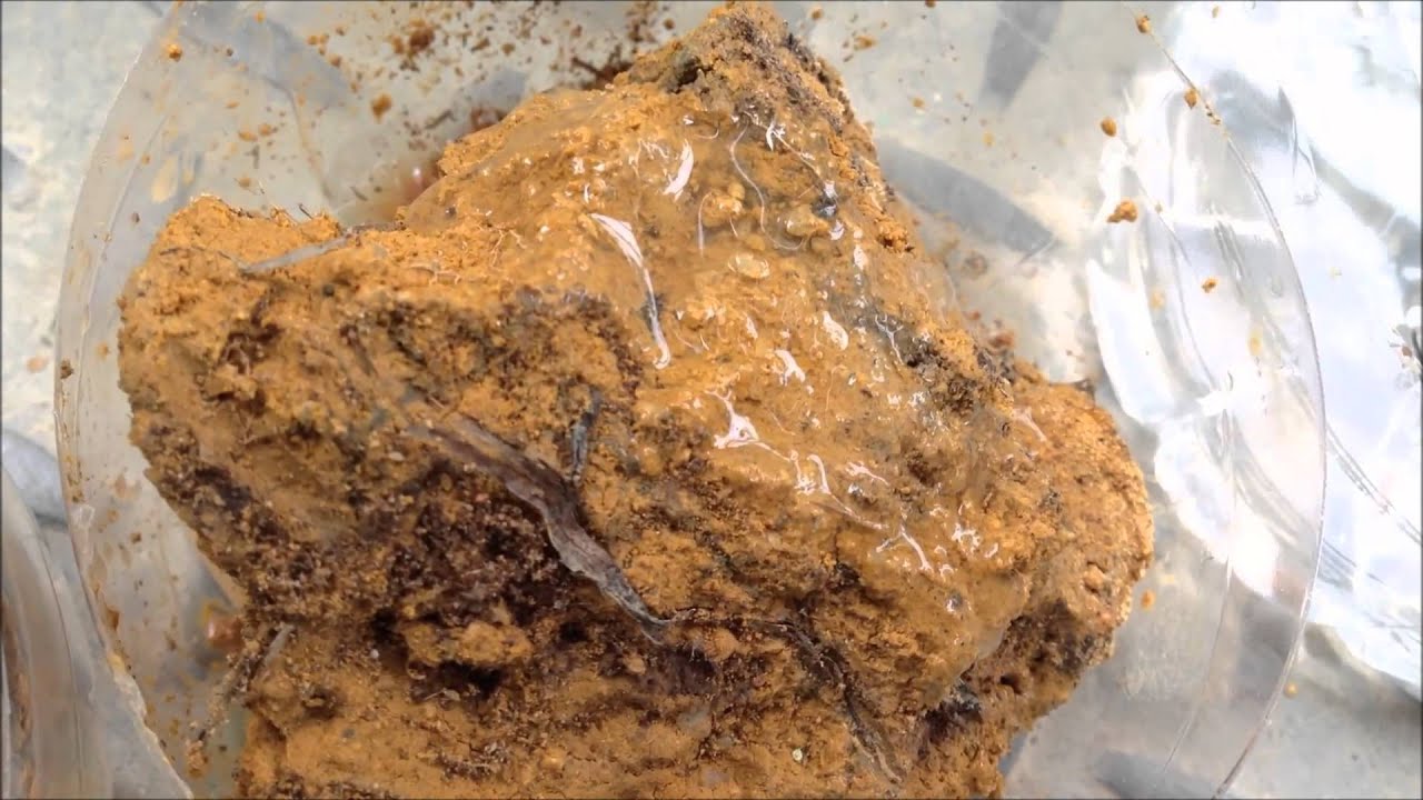 Why do surfactants make water adsorbable by a dry soil?
