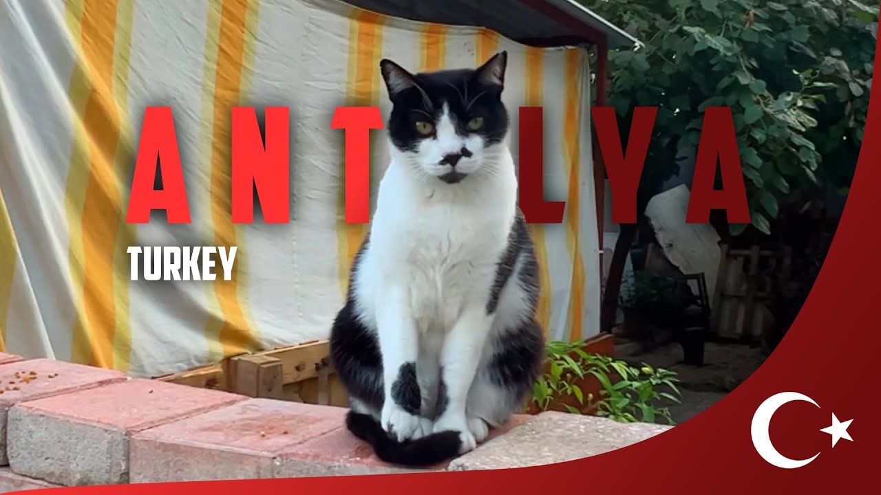 Come Walk with Me: Exploring Antalya from a First-Person Perspective