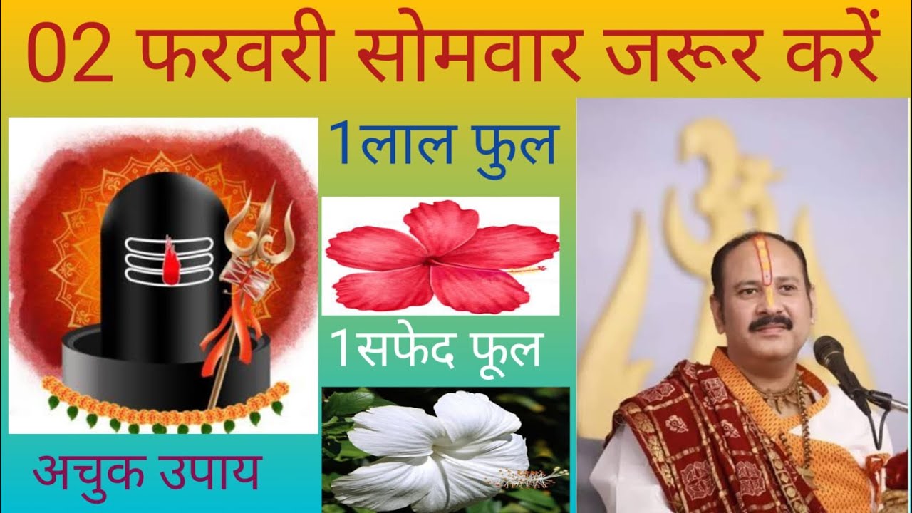 2 फरवरी सोमवार जरूर करें।। एक लाल फूल ।। एक सादा फुल ।। अचूक उपाय।।