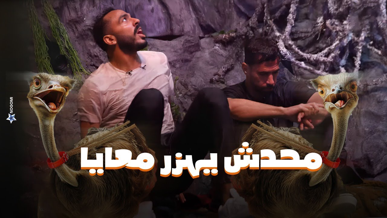 عصبية شديدة من محمود كهربا وعبد الله السعيد بعد مواجهة نعام رامز جاب من الاخر.. رامز: مش نازل