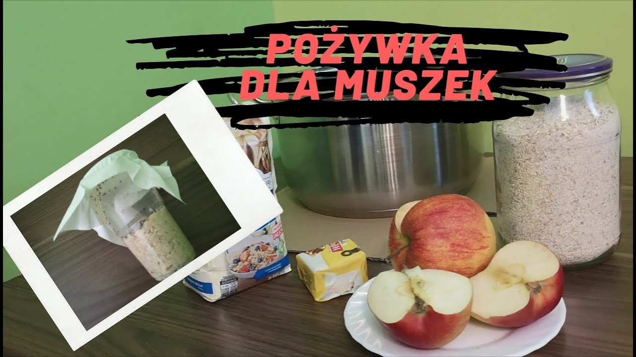 Pożywka dla muszek / Hodowla