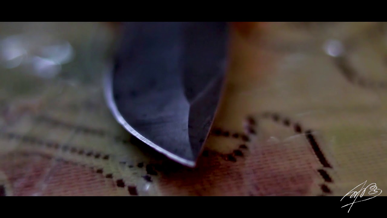 Cinematic B-Roll Coconut