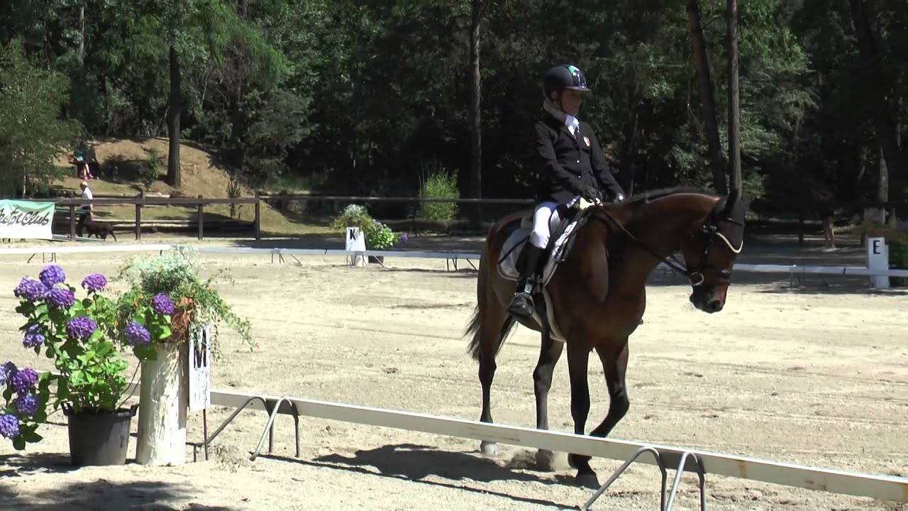 team test cpedi somma lombardo francy - muggy