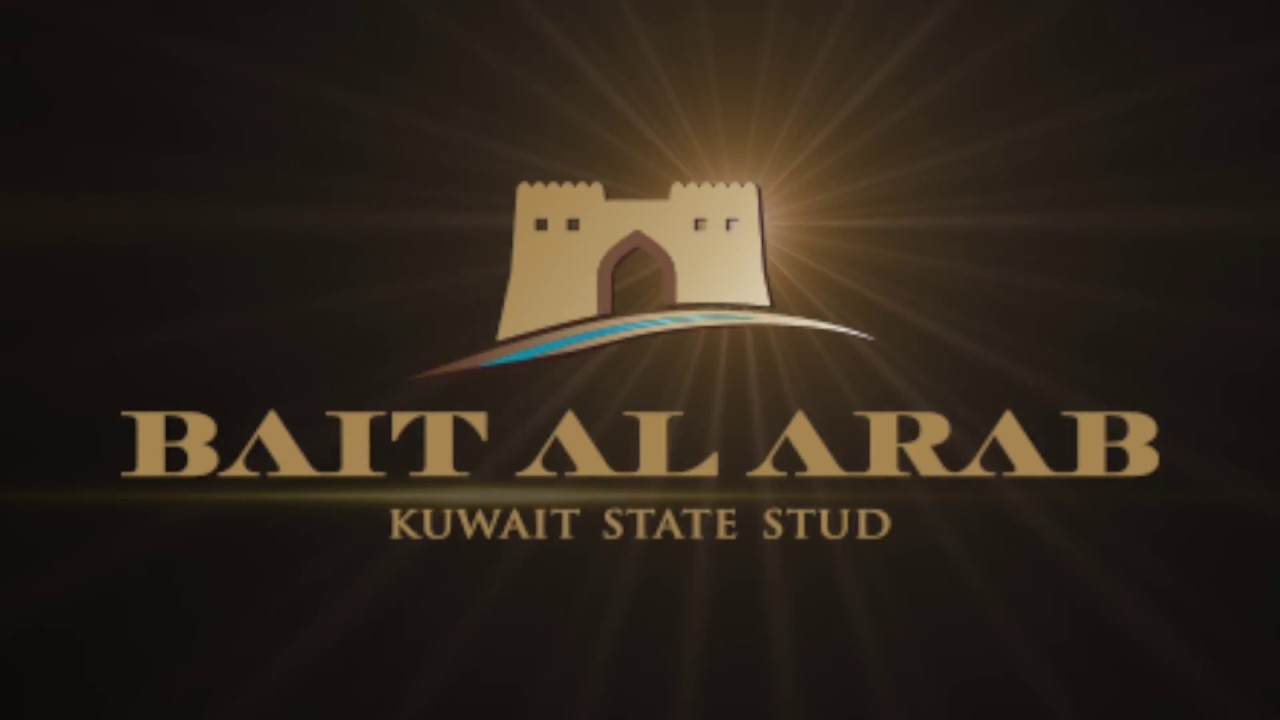 تدريب الخيل للمشاركة في عروض الخيل لماجد الناصر