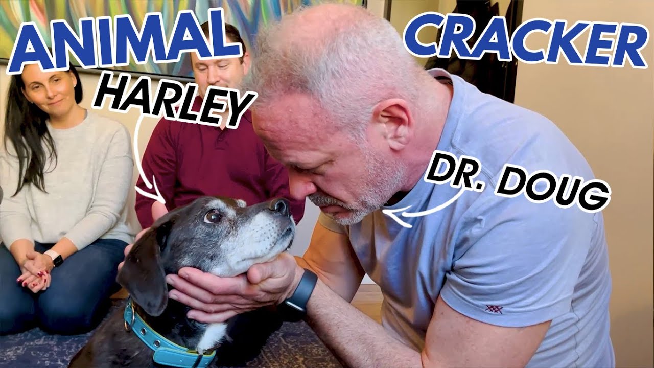 OLD DOG ~ HUNCHED BACK & CAMPED UNDER: STRESS FREE with CHIRO ADJUSTMENT! (Part 4)