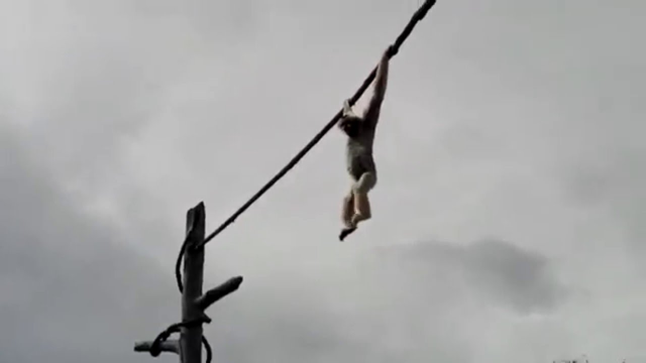 Monkey Poops on Crowd Below