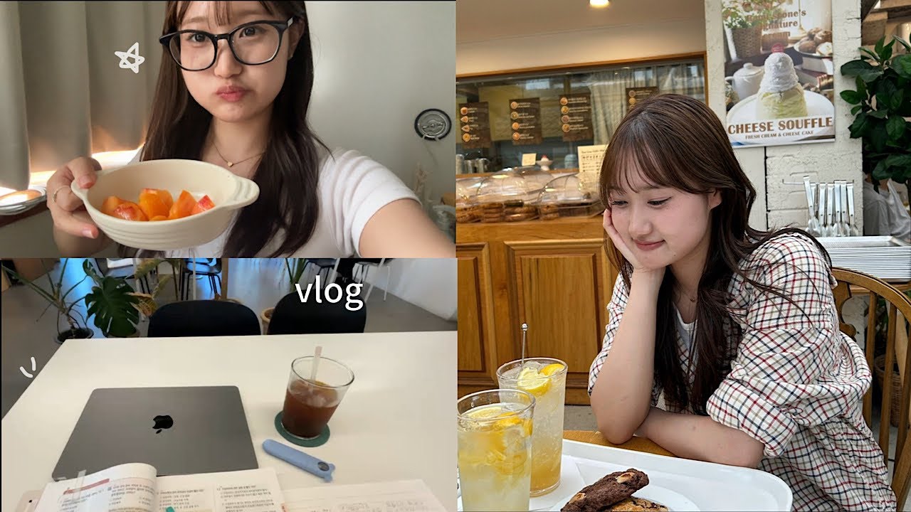 【vlog】 韓国留学中の日本人の日常 📚 / 한국유학생 일상 브이로그