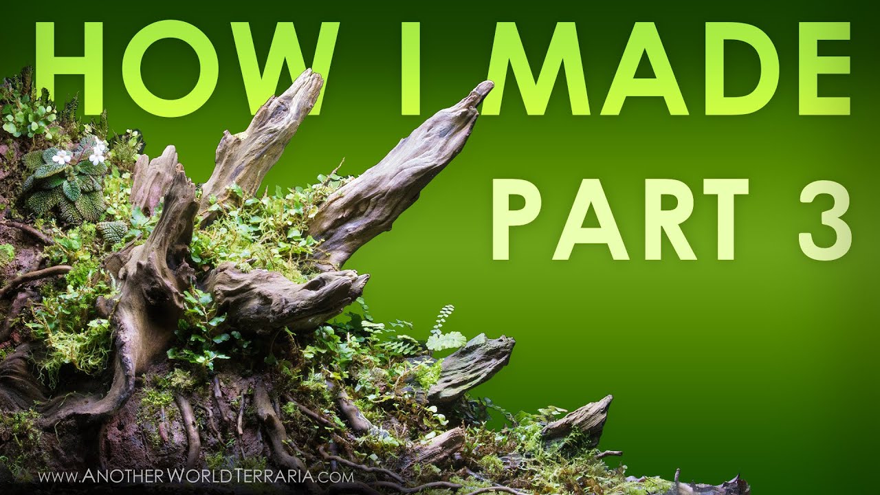 Crown Forest Terrarium Build Log Part 3 (Clay and epic root-scaping!)