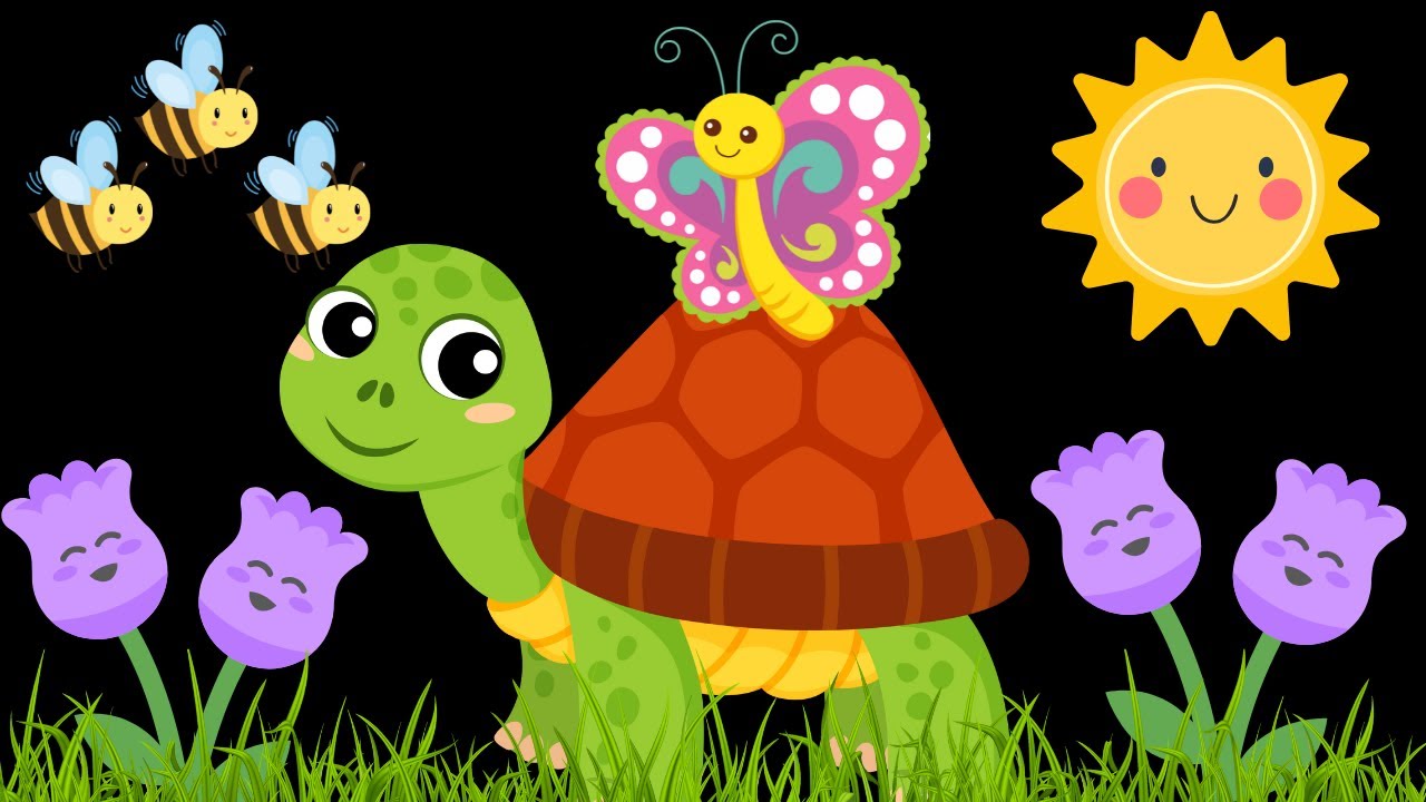 Peekaboo Butterfly baby sensory video with high contrast for visual stimulation