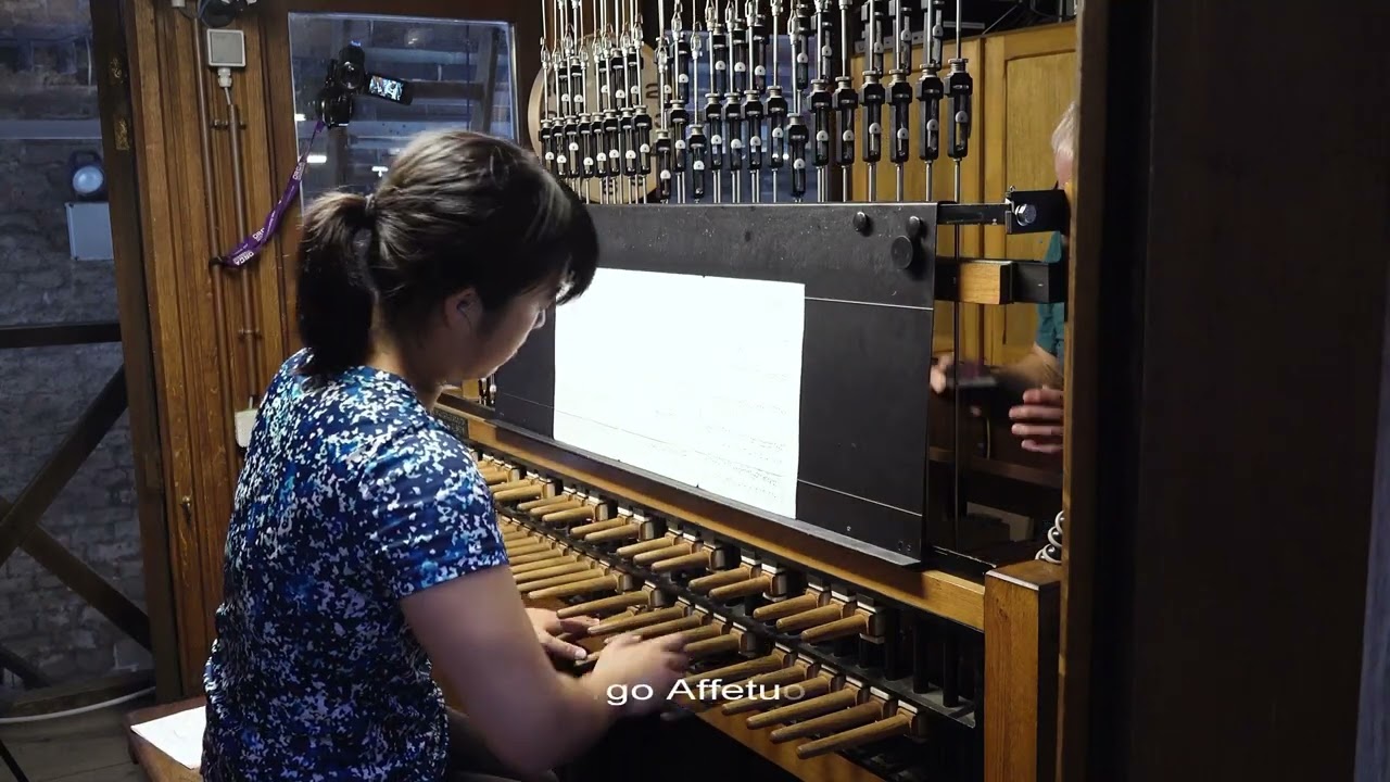 Sonata in D minor (Jean Baptiste Loeillet de Gand, Arr. G. D'Hollander), Annie Gao - carillon
