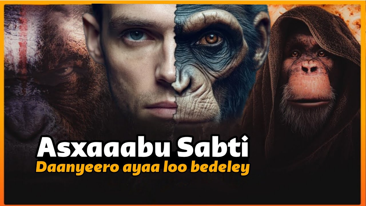 Qisada Asxaabu-Sabti ee isku dayay inay khiyaameeyaan Allah, markaasuu u beddelay daanyeero!