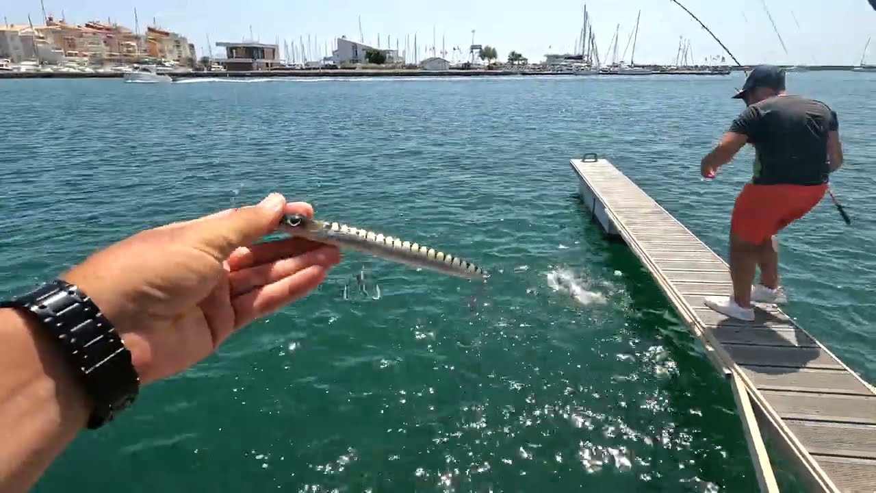 tassergal en surface, été 2023 Part.2