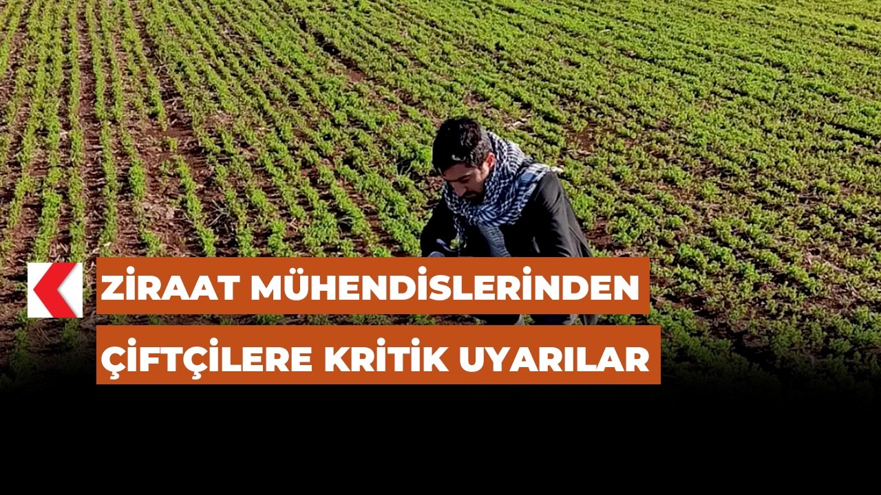 Ziraat mühendislerinden çiftçilere kritik uyarılar