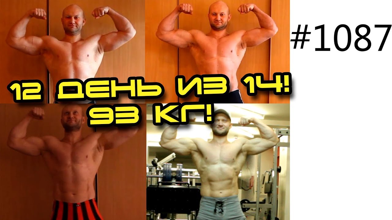 День 12. Шоу 