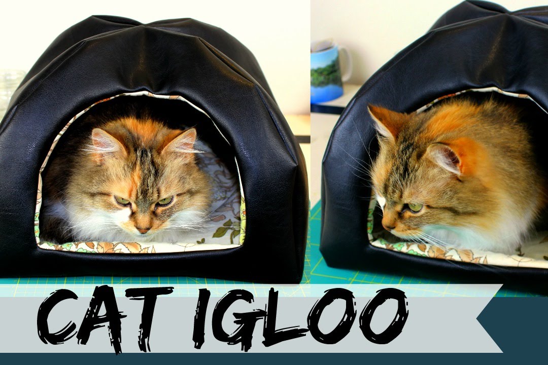 Cat Igloo