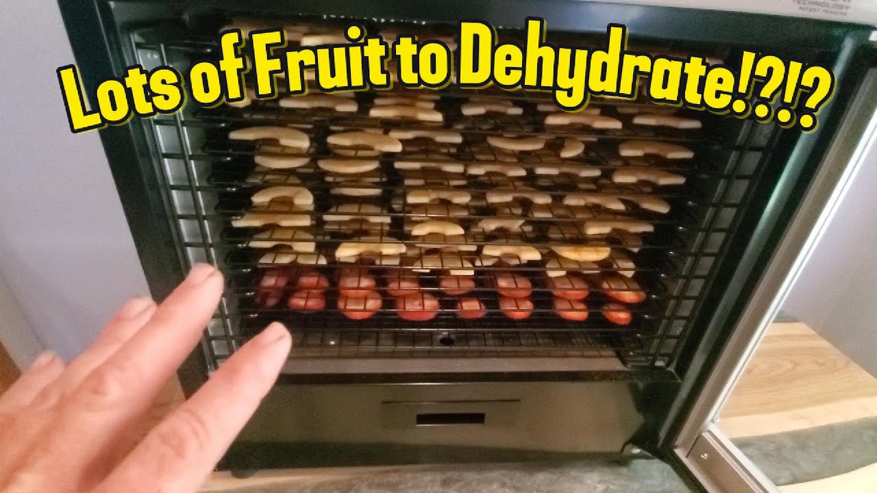 Dehydrating apples and strawberries with the Cabelas dehydrator!?!??!?