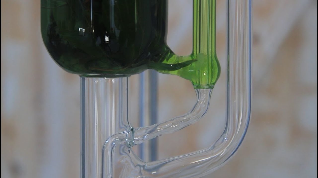 Soxhlet Extractor to add on Essential Oil Still