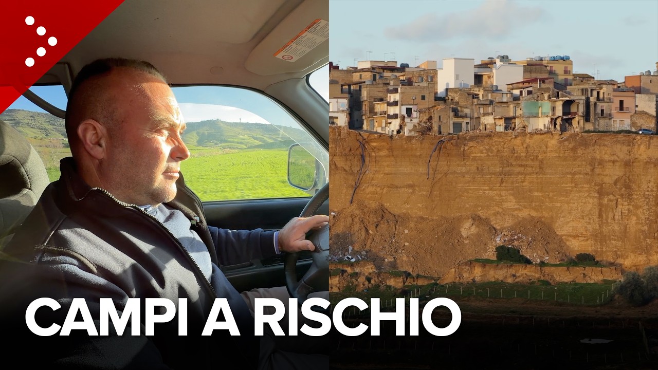 Un giorno con gli agricoltori di Niscemi, in auto tra i famosi campi di carciofi: “Siamo rovinati”