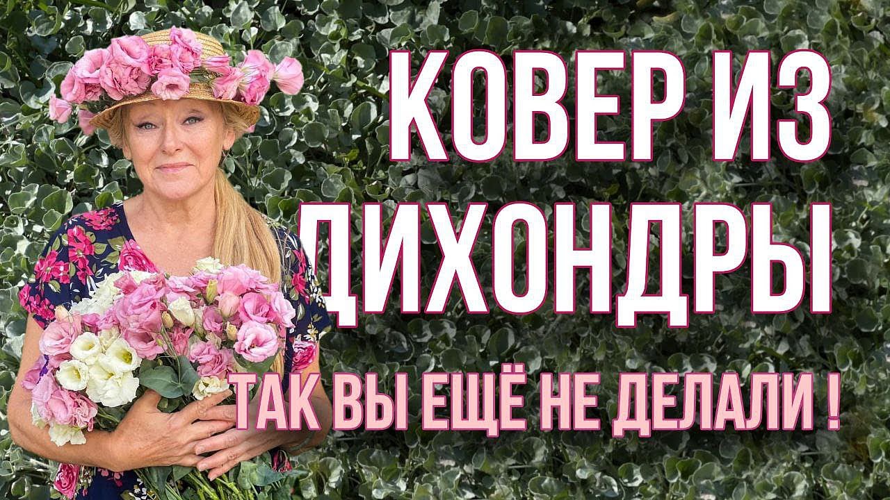 ПОПРОБУЙТЕ ПОСАДИТЬ дихондру по-новому!