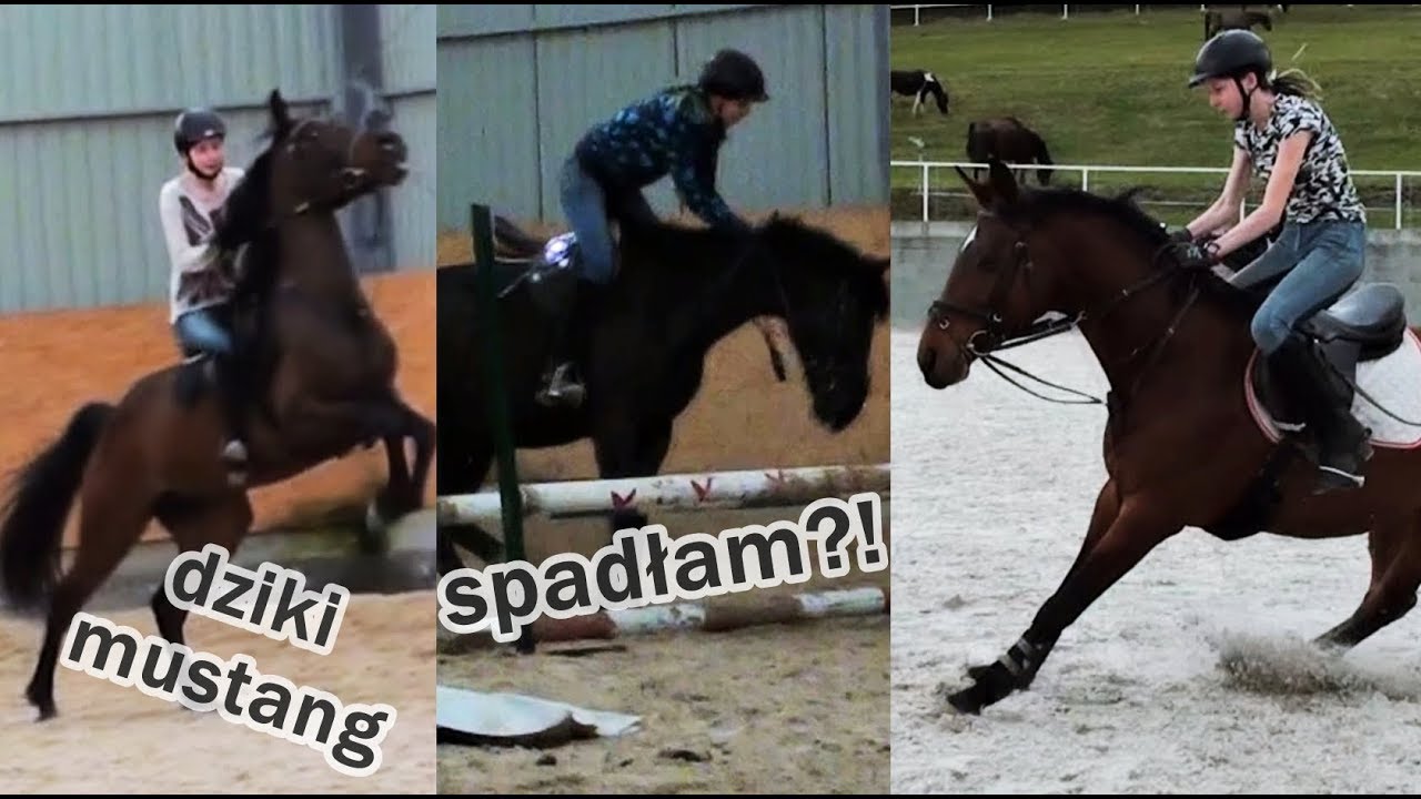 Fails & bloopers horse riding