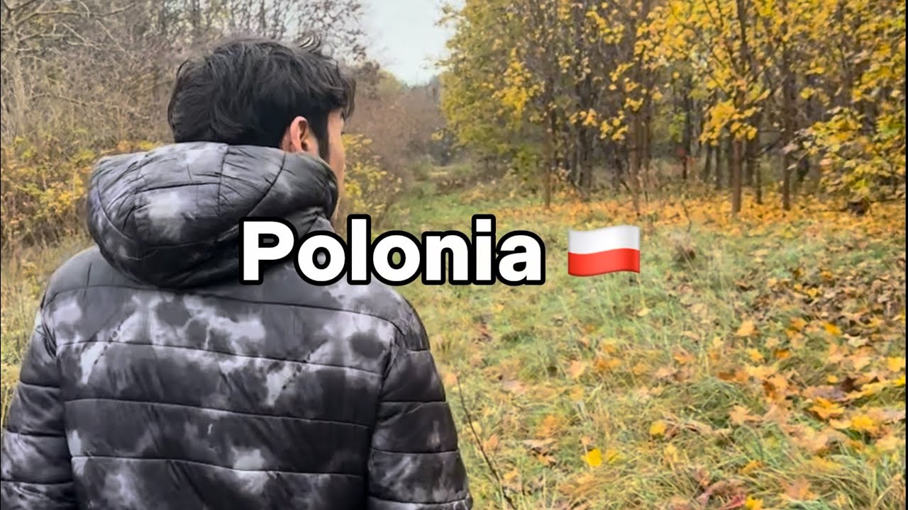 POLONIA CON LUCIANO DE CECCO Y SATO // Tokserini en Częstochowa 🇵🇱 
