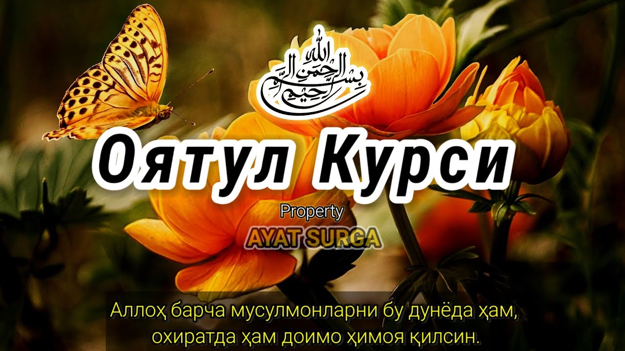 Нежное утреннее чтение Ayat Kursi | Спокойствие сердца и благословение дня